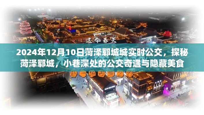 探秘菏澤鄆城公交奇遇與隱藏美食，2024年12月10日實時公交指南