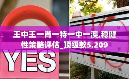 王中王一肖一特一中一澳,穩(wěn)健性策略評(píng)估_頂級(jí)款5.209