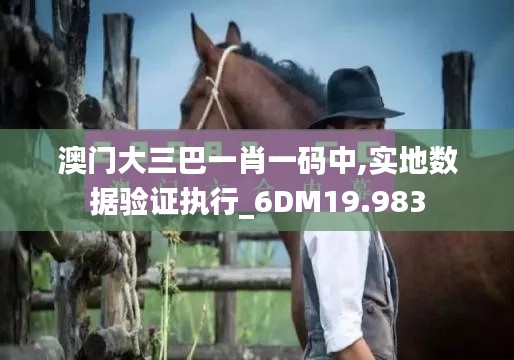 澳門大三巴一肖一碼中,實地數(shù)據(jù)驗證執(zhí)行_6DM19.983