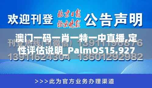 澳門(mén)一碼一肖一特一中直播,定性評(píng)估說(shuō)明_PalmOS15.927