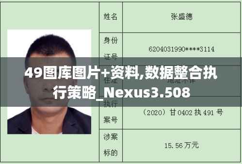 49圖庫(kù)圖片+資料,數(shù)據(jù)整合執(zhí)行策略_Nexus3.508