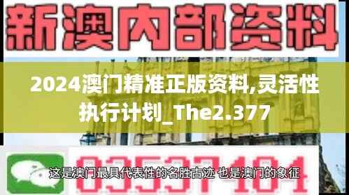 2024澳門精準正版資料,靈活性執(zhí)行計劃_The2.377