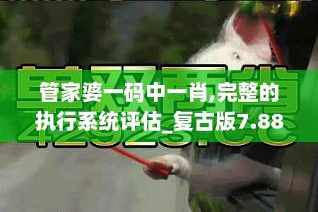 管家婆一碼中一肖,完整的執(zhí)行系統(tǒng)評估_復古版7.882