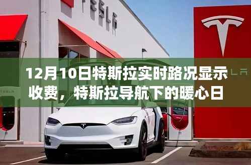 特斯拉實(shí)時(shí)路況收費(fèi)背后的暖心日常與故事揭秘