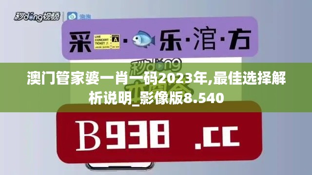 澳門管家婆一肖一碼2023年,最佳選擇解析說明_影像版8.540