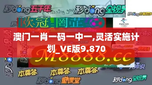 澳門一肖一碼一中一,靈活實施計劃_VE版9.870