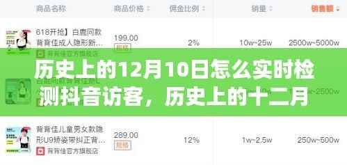 揭秘抖音訪客實(shí)時(shí)檢測(cè)背后的故事與影響，歷史上的十二月十日如何實(shí)時(shí)追蹤抖音訪客動(dòng)態(tài)