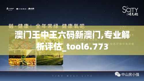 澳門(mén)王中王六碼新澳門(mén),專業(yè)解析評(píng)估_tool6.773