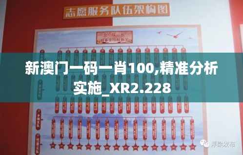 新澳門(mén)一碼一肖100,精準(zhǔn)分析實(shí)施_XR2.228