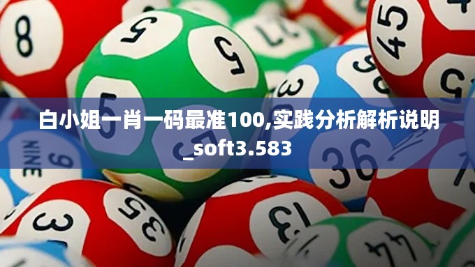 白小姐一肖一碼最準(zhǔn)100,實(shí)踐分析解析說明_soft3.583