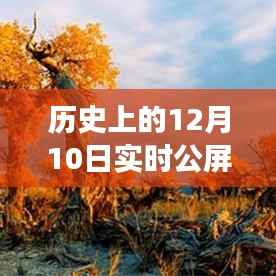 透過直播鏡頭看歷史變遷，十二月十日公屏評論回顧與解讀