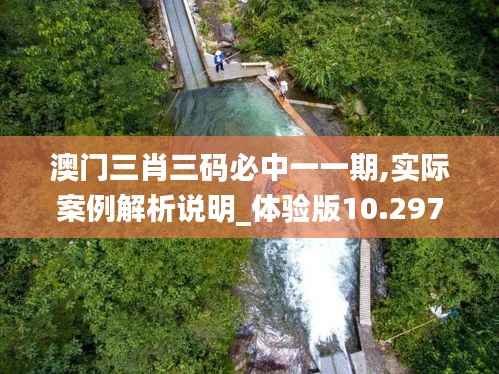 澳門三肖三碼必中一一期,實際案例解析說明_體驗版10.297