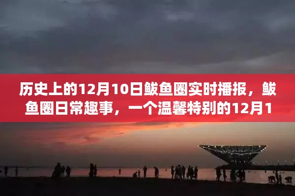 溫馨特別的鲅魚圈日常趣事，歷史上的十二月十日播報