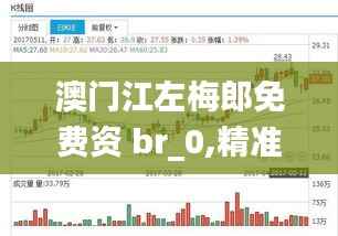 澳門江左梅郎免費資 br_0,精準(zhǔn)解答解釋定義_Ultra6.102