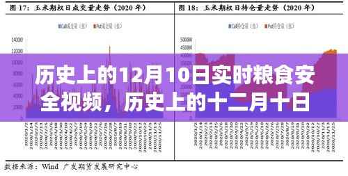 歷史上的十二月十日，實時糧食安全視頻背后的深遠(yuǎn)影響探索