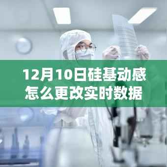 硅基動感實時數(shù)據(jù)調(diào)整指南，12月10日操作詳解與實時數(shù)據(jù)更改教程