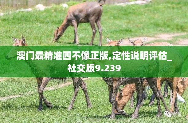 澳門最精準(zhǔn)四不像正版,定性說明評估_社交版9.239