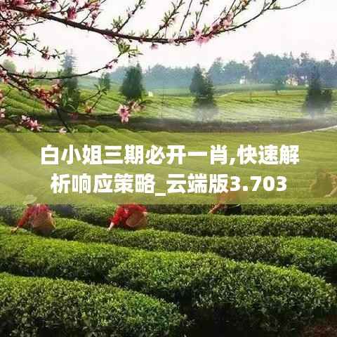 白小姐三期必開一肖,快速解析響應(yīng)策略_云端版3.703