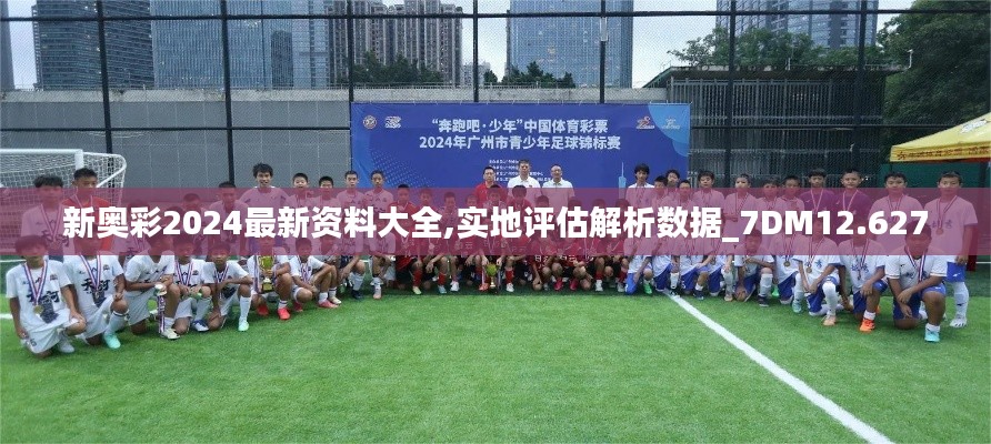 新奧彩2024最新資料大全,實(shí)地評(píng)估解析數(shù)據(jù)_7DM12.627