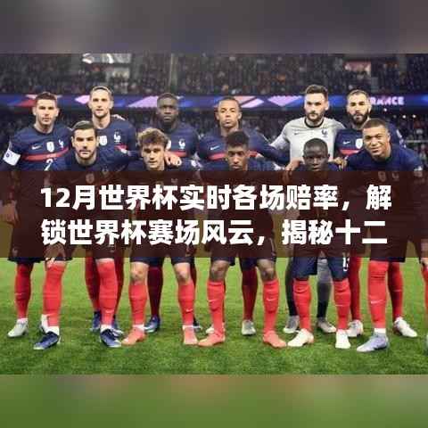 揭秘世界杯賽場風(fēng)云，十二月實時賠率動態(tài)全解析