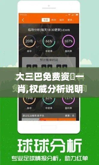 大三巴免費資枓一肖,權(quán)威分析說明_vShop4.375