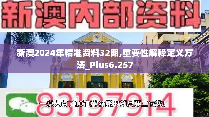 新澳2024年精準(zhǔn)資料32期,重要性解釋定義方法_Plus6.257