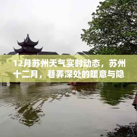 蘇州十二月天氣實(shí)時(shí)動(dòng)態(tài)與巷弄深處的暖意及特色小店探索