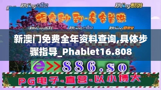 新澳門免費全年資料查詢,具體步驟指導(dǎo)_Phablet16.808