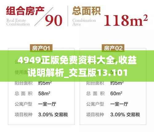 4949正版免費資料大全,收益說明解析_交互版13.101