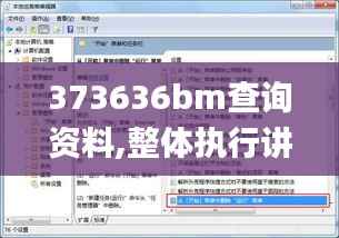 373636bm查詢資料,整體執(zhí)行講解_DX版17.227