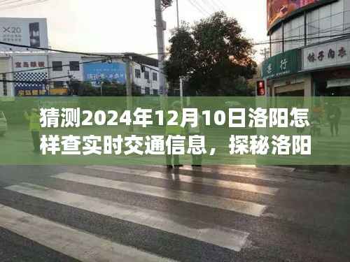 探秘洛陽小巷特色小店，2024年12月10日實時交通信息指南與交通查詢攻略