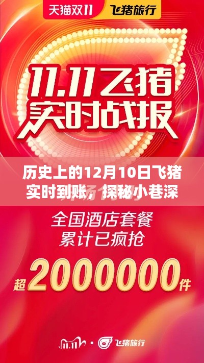 探秘飛豬店，歷史上的幸運(yùn)到賬時(shí)刻揭秘，神秘飛豬實(shí)時(shí)到賬日回顧