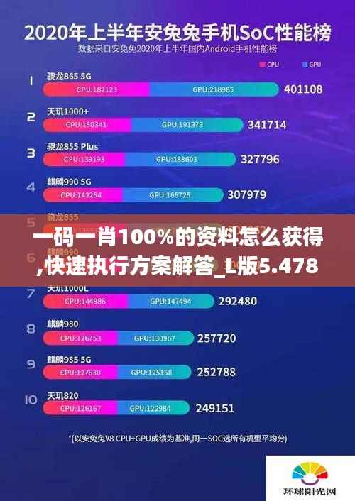 一碼一肖100%的資料怎么獲得,快速執(zhí)行方案解答_L版5.478