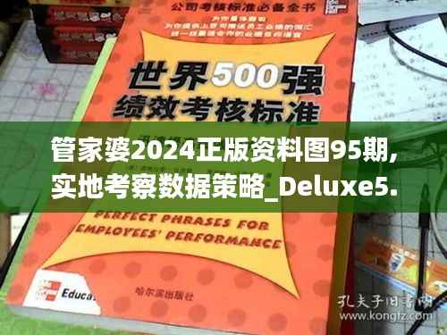 管家婆2024正版資料圖95期,實(shí)地考察數(shù)據(jù)策略_Deluxe5.958