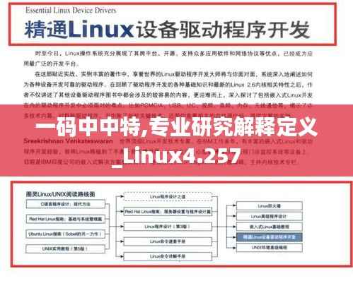 一碼中中特,專業(yè)研究解釋定義_Linux4.257