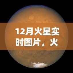 最新火星探測器圖片體驗報告，科技與生活的融合——火星實時觀測與圖片分享