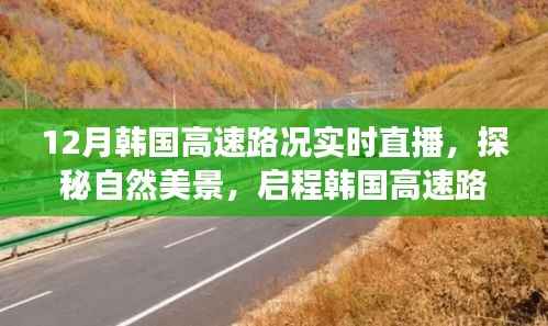 韓國高速路況實時直播之旅，探秘自然美景，尋找內(nèi)心的寧靜與遠(yuǎn)方風(fēng)景的啟程