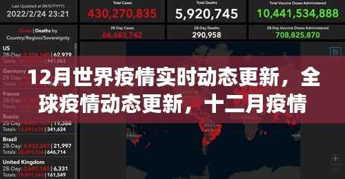 全球疫情動(dòng)態(tài)更新，十二月下的世界面貌與影響洞察