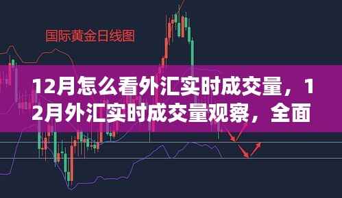 全面深度解析，12月外匯實時成交量觀察與評測指南