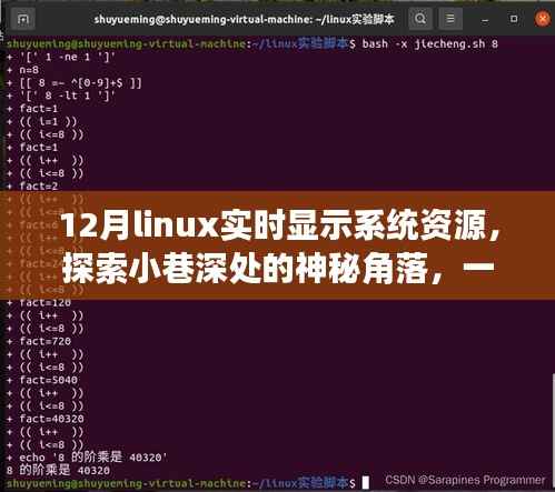 探索Linux資源實時顯示特色小店，十二月系統(tǒng)資源監(jiān)控與小巷深處的神秘角落