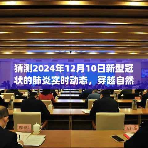 預(yù)測(cè)未來(lái)之旅，2024年新冠肺炎動(dòng)態(tài)與心靈寧?kù)o之舟穿越自然秘境的實(shí)時(shí)觀察