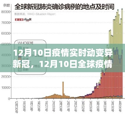 新冠病毒變異與全球防控進(jìn)展報(bào)告，12月10日最新動(dòng)態(tài)分析