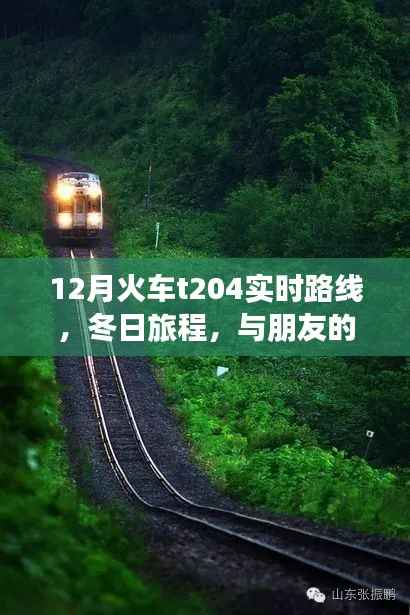冬日旅程，與朋友的火車時光——T204火車實時路線解析