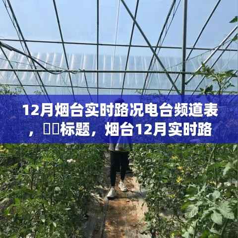 煙臺12月實時路況電臺頻道指南，探尋自然美景與心靈寧靜的旅程