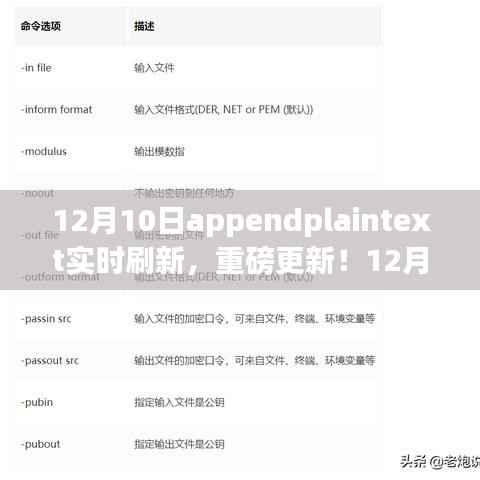 12月10日AppendPlainText實時刷新功能全新上線，實時更新，輕松管理文本內(nèi)容