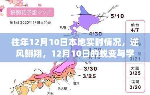 12月10日，逆風(fēng)翱翔與學(xué)習(xí)的力量——本地實(shí)時(shí)情況蛻變記