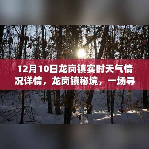 龍崗秘境，冬日旅行記與實(shí)時(shí)天氣探索
