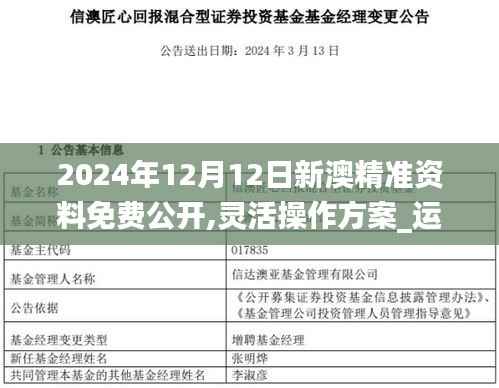 2024年12月12日新澳精準(zhǔn)資料免費(fèi)公開,靈活操作方案_運(yùn)動版10.420