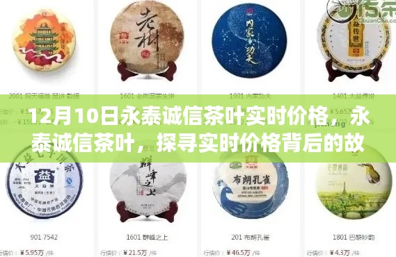 探尋永泰誠信茶葉實時價格背后的故事與地位