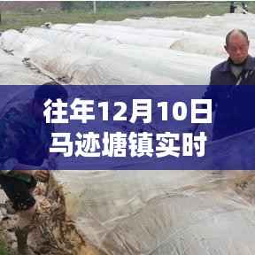 往年12月10日馬跡塘鎮(zhèn)實(shí)時(shí)天氣回顧與紀(jì)實(shí)